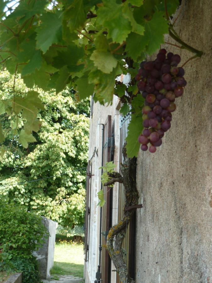 A L'Ombre Du Marronnier Gites La Peruse Luaran gambar